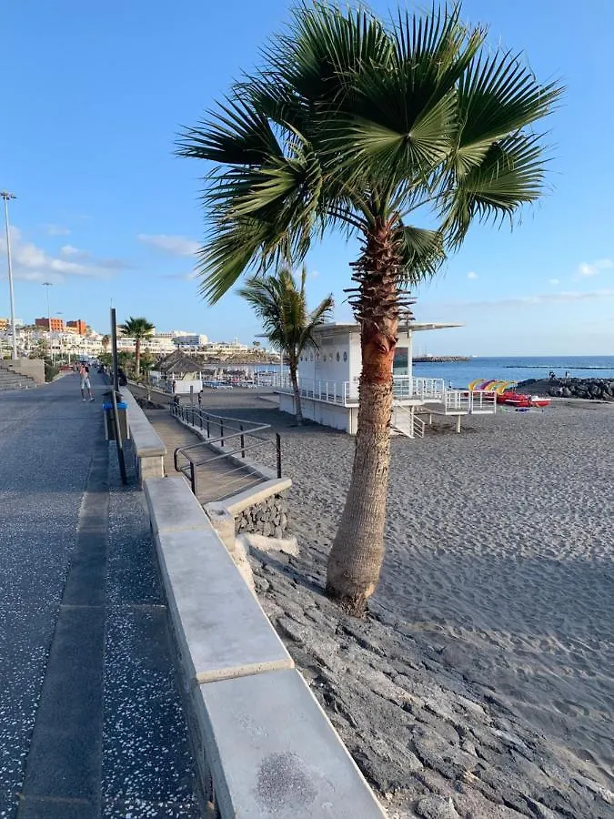 Orlando Apartment Tenerife Costa Adeje   Costa Adeje (Tenerife)
